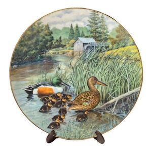 “The Northern Shoveler” Collector Plate in Living With Nature Series 1987 Jerner